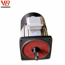 Crane Hoist Multi Speed Pole changing Three Phase Electric Motor